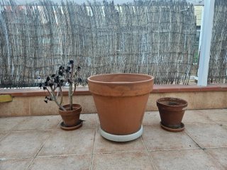 Macetas de terracota para exterior