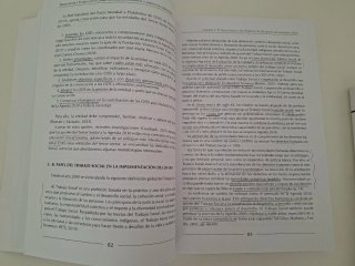 Tercer sector y Trabajo Social derechos, redes ...