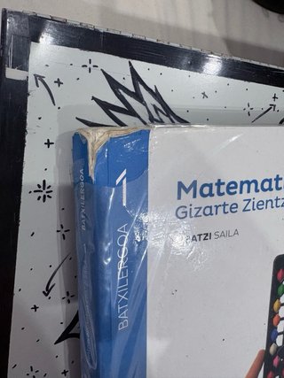 MATEMATIKA GIZARTE ZIENTZIEL APLIKATUA EBATZI