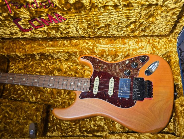 Fender Stratocaster Michael Landau