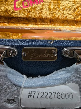 Fender Stratocaster Michael Landau