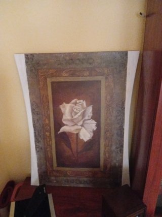 Cuadro Rosa Blanca