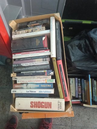 Lote de 30 o mas libros al azar
