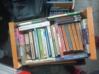 Lote de 30 o mas libros al azar