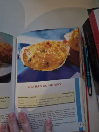 Todo tapas 110 recetas