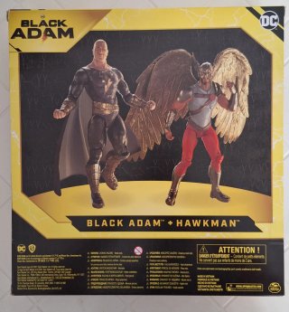 DC Comics Black Adam and Hawkman