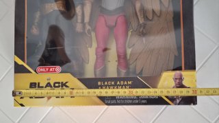 DC Comics Black Adam and Hawkman