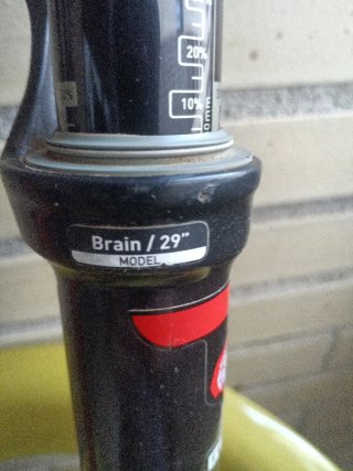 Horquilla Rock Shox Brain 80mm 29