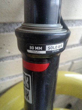 Horquilla Rock Shox Brain 80mm 29