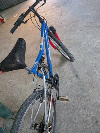 Bicicleta de paseo