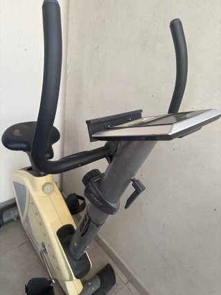 Bicicleta Estática BH Pegasus Plus