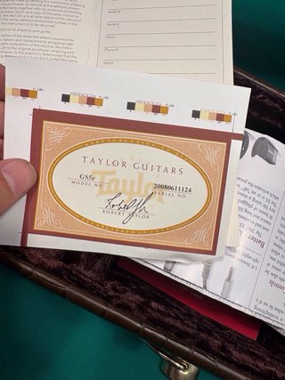 Guitarra Taylor GS5