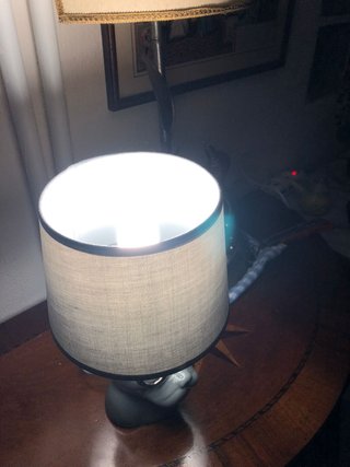 Lampada Bulldog Francese con Occhiali