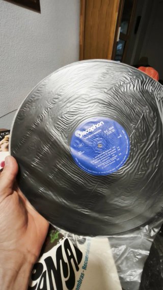 Vinilo Los Guacamayos
