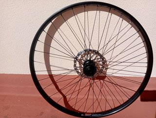rueda DH nueva 29x30, 20 x110 ebike enduro delante