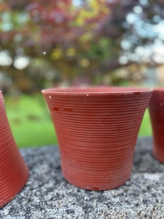 4 Tiestos de barro rojos