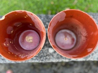 4 Tiestos de barro rojos