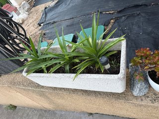 Macetero de piedra beige y gris