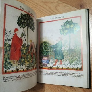 TACUINUM SANITATIS - LIBRO FACSIMIL - COLECCIÓN