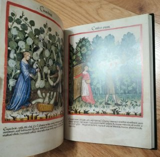 TACUINUM SANITATIS - LIBRO FACSIMIL - COLECCIÓN