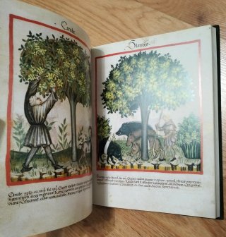 TACUINUM SANITATIS - LIBRO FACSIMIL - COLECCIÓN