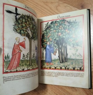 TACUINUM SANITATIS - LIBRO FACSIMIL - COLECCIÓN