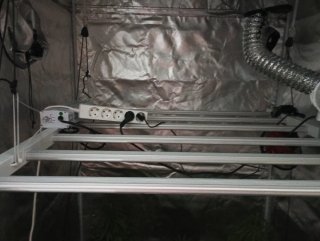 Armario y focos LED cultivo interior