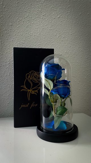 Rosa eterna azul cúpula cristal con luces