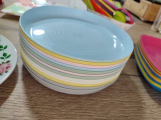 Vajilla Plástico Camping Picnic Multicolor