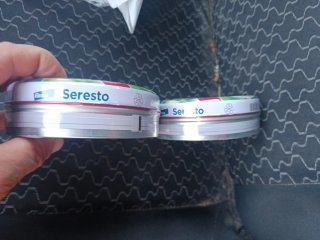 Collares serector perros de más de 8 kilos