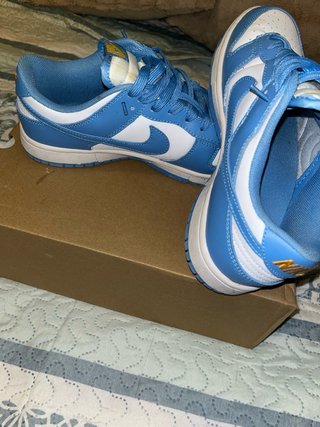Zapatillas Nike Dunk Azul y Blanco