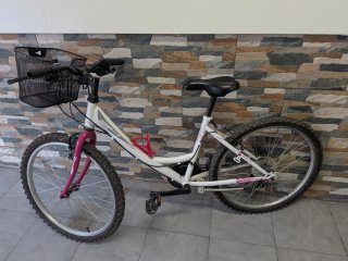 Bicicleta Infantil 24