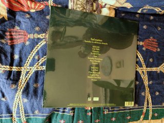 Vinilo Someday Will Foresee Obstacles. Syd Matters