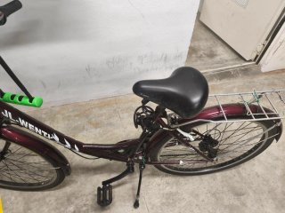 Bicicleta Urbana JL-WENTH Morado