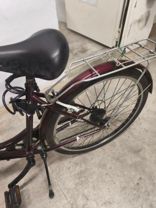 Bicicleta Urbana JL-WENTH Morado