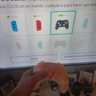 Mando Nintendo Switch Compatible Diseño Perro