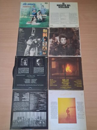 Lote 8 Vinilos: Pop, Flamenco, Rock