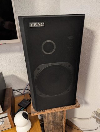Altavoces TEAC SX-300 2 Vías