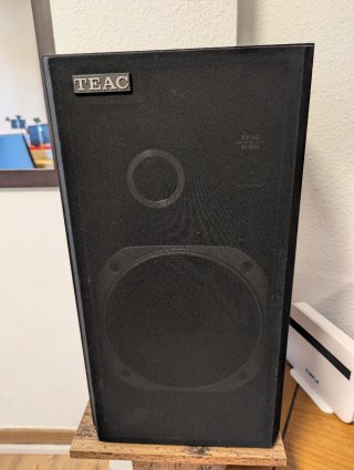 Altavoces TEAC SX-300 2 Vías