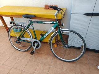 Bicicleta Paseo Orbea street.