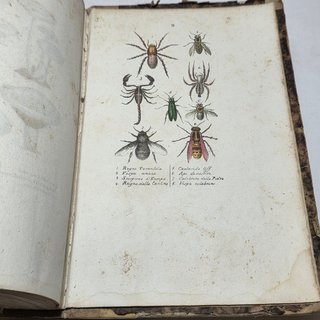 Libro Antico 1841 Lezioni Medicina Legale Orfila