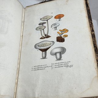 Libro Antico 1841 Lezioni Medicina Legale Orfila