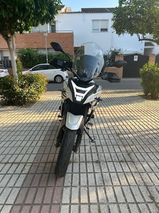 Moto Voge 300 DS edición limitada