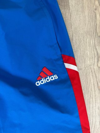 Chándal Adidas Bayern Múnich