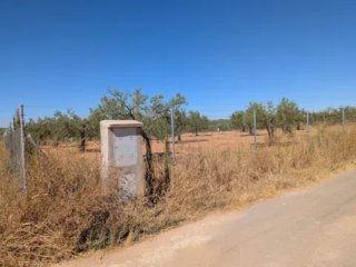 Terreno en Benacazón
