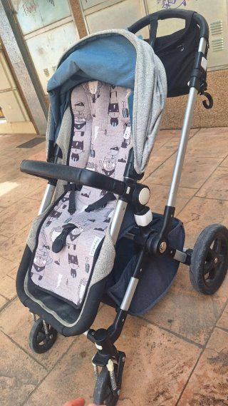 Bugaboo Camaleon Edición Limitada