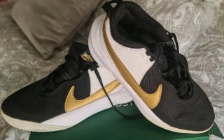 Zapatillas Nike Team Hustle D 10 basket