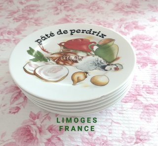 6 Platos  de Porcelana Limoges