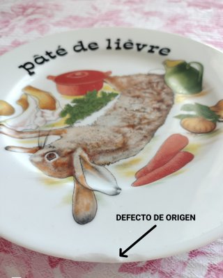 6 Platos  de Porcelana Limoges