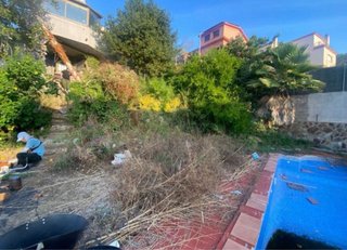 Servicios de jardinería profesional